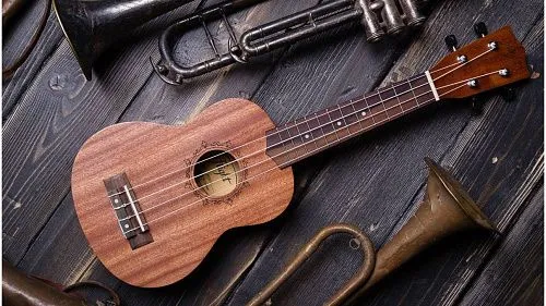 Flight NUS310 Укулеле.